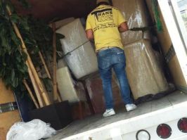 camionetas apropiadas para trasladar sus muebles